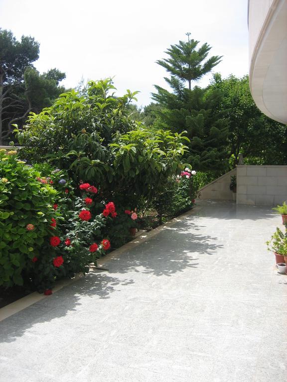 Hotel Daniela 3*